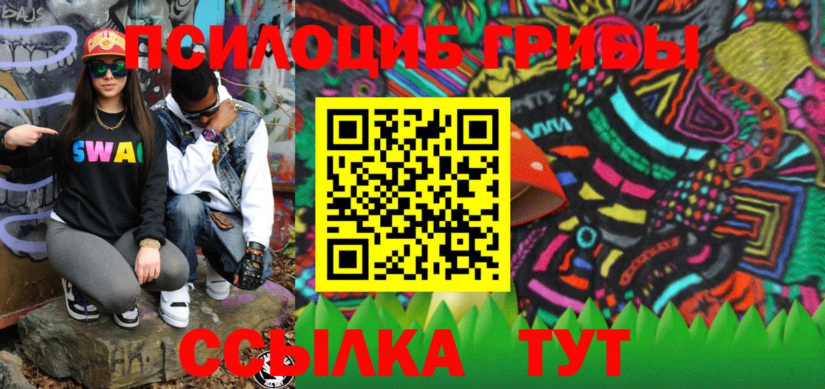 Галлюциногенные грибы MAGIC MUSHROOMS  Галлюциногенные грибы Psilocybe  Луга  Вход с VPN 